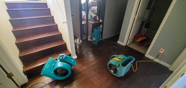 Best Water damage contractors near me  in Guernsey, WY