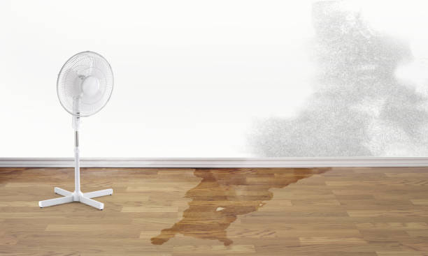 Sewage cleanup and water damage restoration in WY