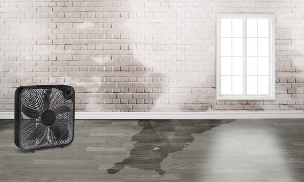 Best Fire Damage Restoration  in Guernsey, WY