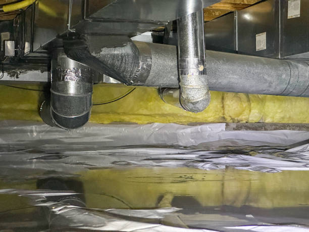 Best Flood damage cleanup  in Guernsey, WY