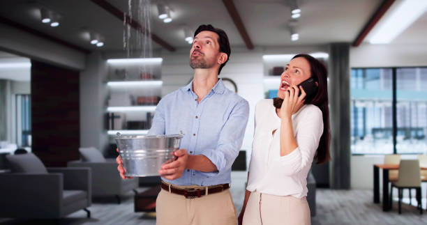 Best 24/7 water damage repair  in Guernsey, WY