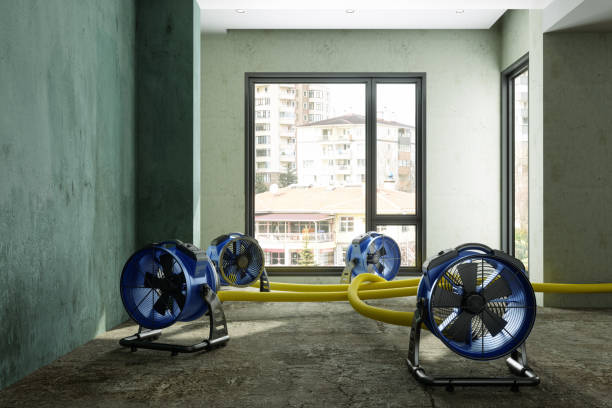 Best Mold removal after water damage  in Guernsey, WY